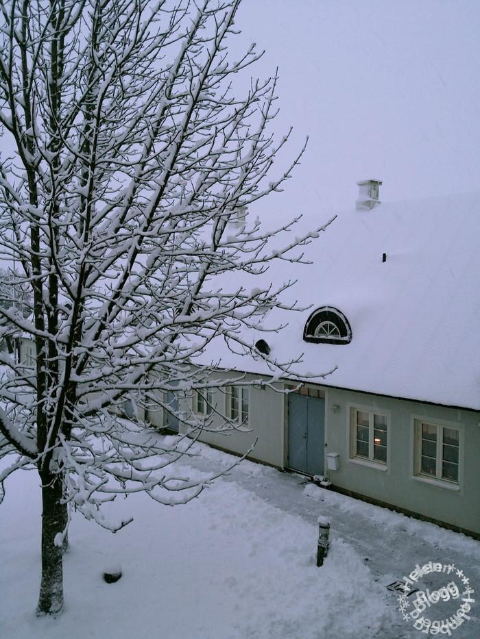 Snö och vinter på vår gård i Mörarp
